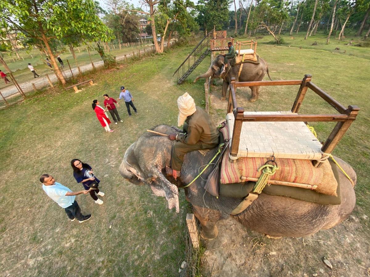 Hotel Shiva'S Dream Sauraha Zewnętrze zdjęcie